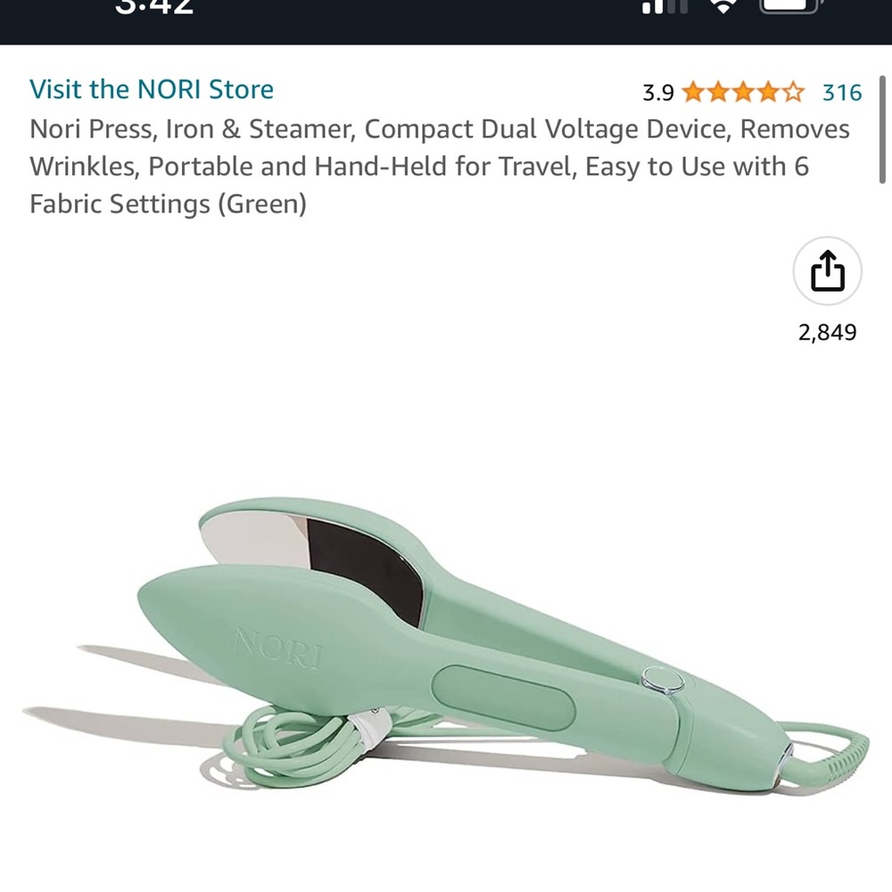 Nori handheld steam iron in green
